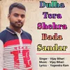 About Dulha Tera Shehra Bada Sandar Song